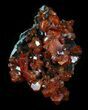 Shiny Red Vanadinite Crystals - Morocco #32334-2